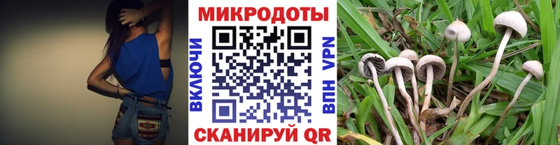 Псилоцибиновые грибы Magic Shrooms  что такое   Кудымкар 