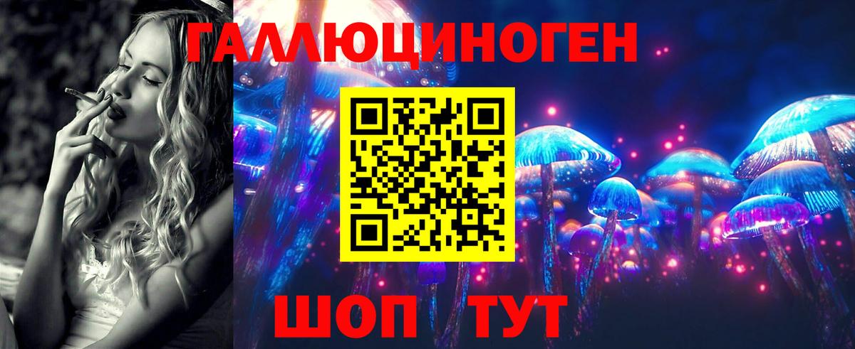 где продают   Вход с VPN  Кудымкар  Псилоцибиновые грибы мухоморы 